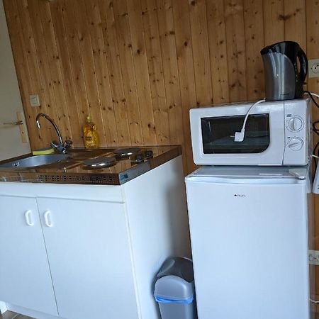 Au Petit Chalet D'Illiers Combray - Salle D'Eau Uniquement エクステリア 写真