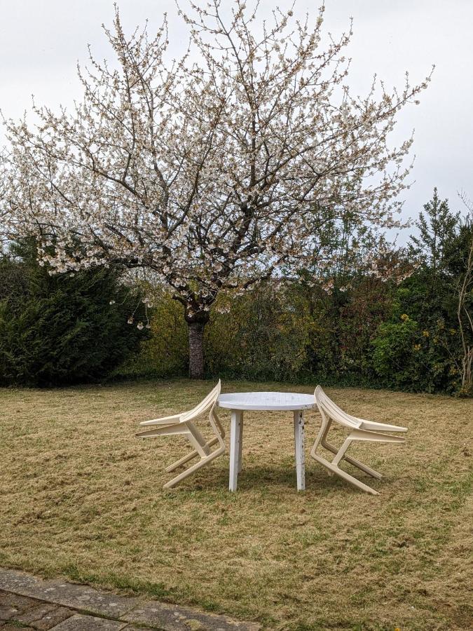 Au Petit Chalet D'Illiers Combray - Salle D'Eau Uniquement エクステリア 写真